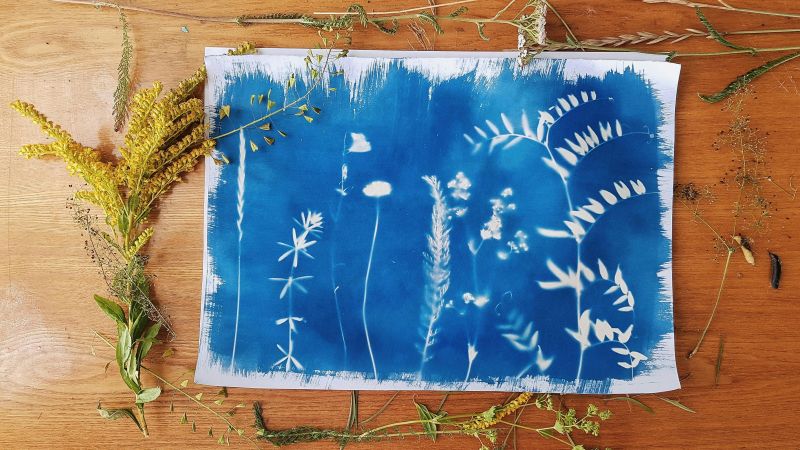 eco tshirt print