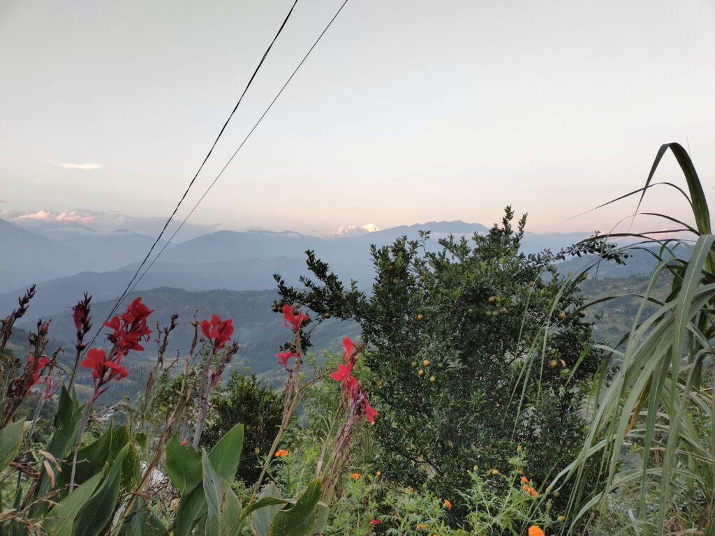 Agriculture Volunteer in Nepal – Langtang View Farm Stay & Research Centre (Nuwakot)